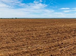 TBD CR 161 - Photo 13