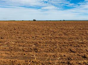 TBD CR 161 - Photo 14