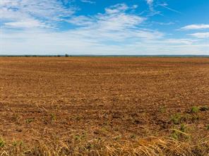 TBD CR 161 - Photo 4