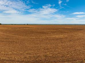 TBD CR 161 - Photo 8