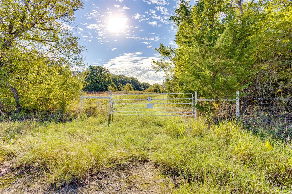 5972 County Road 605b - Photo 18
