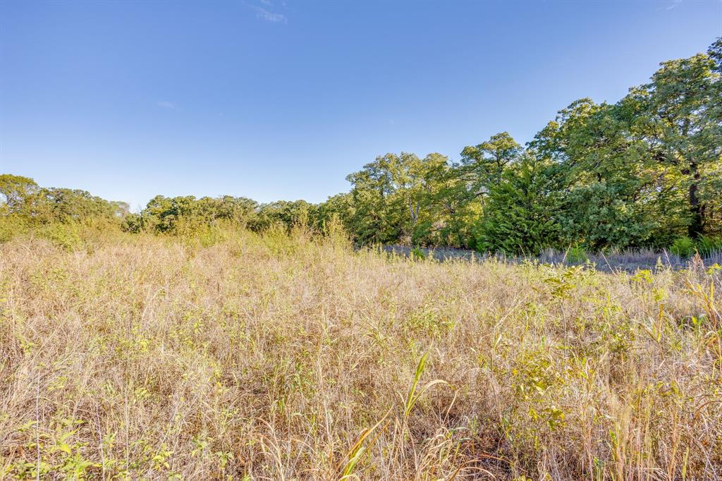 5972 County Road 605b - Photo 20