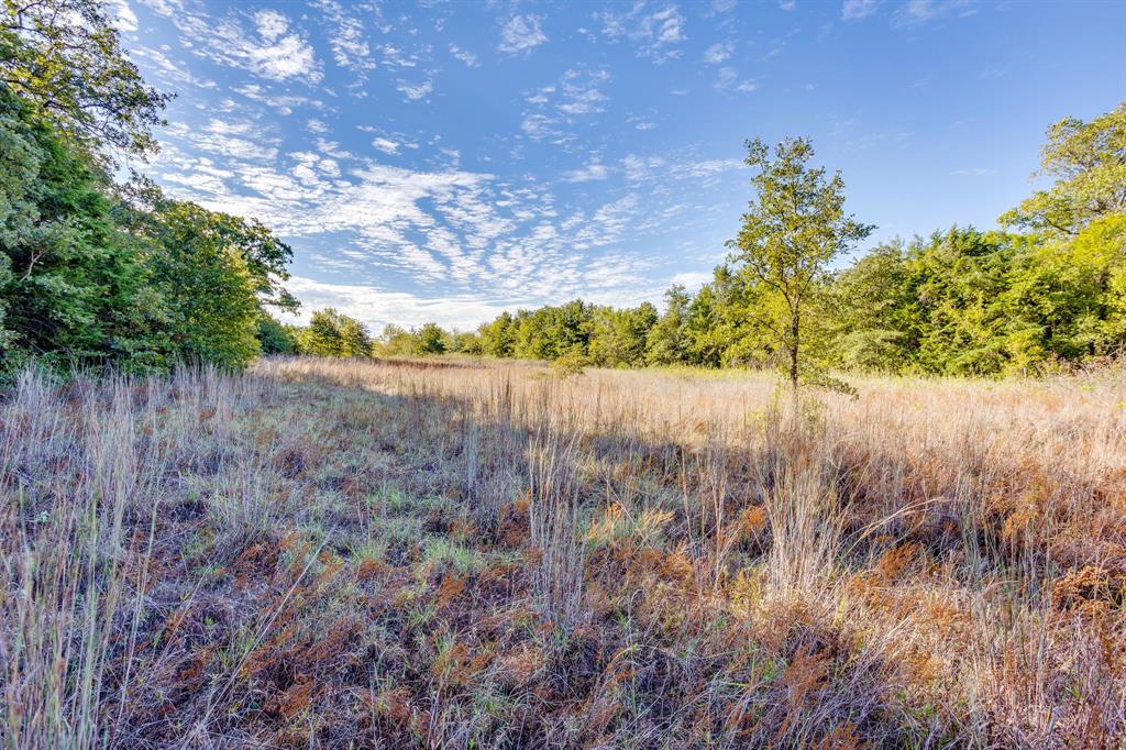 5972 County Road 605b - Photo 22