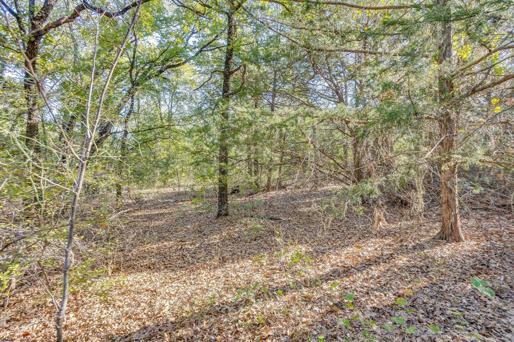 5972 County Road 605b - Photo 23