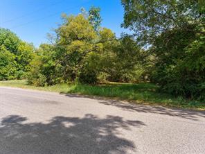1013 N Branch Street - Photo 3