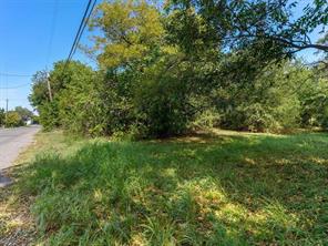 1013 N Branch Street - Photo 4