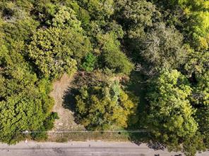 1013 N Branch Street - Photo 6