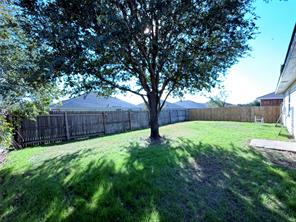 116 Maned Drive - Photo 15
