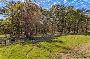 Lot 97 Open Water Point - Photo 6