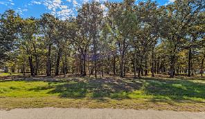 Lot 97 Open Water Point - Photo 7