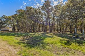 Lot 97 Open Water Point - Photo 8