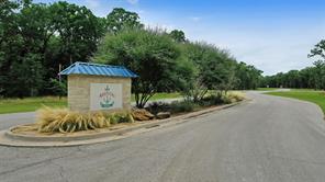 Lot 97 Open Water Point - Photo 9
