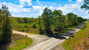 000 Farm Road 2120 - Photo 4