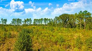 000 Farm Road 2120 - Photo 8
