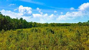 000 Farm Road 2120 - Photo 9
