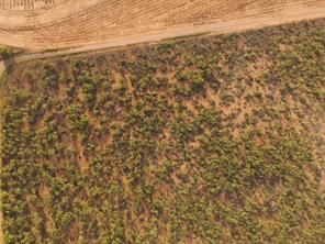 TBD (Lot 4) FM 1224 - Photo 10