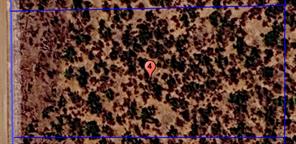TBD (Lot 4) FM 1224 - Photo 2