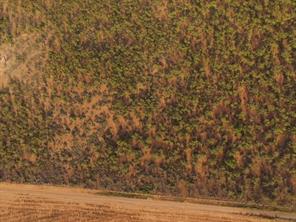 TBD (Lot 4) FM 1224 - Photo 3