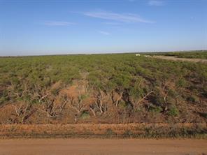TBD (Lot 4) FM 1224 - Photo 4