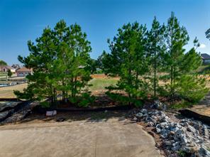 308 Colton Cove - Photo 10