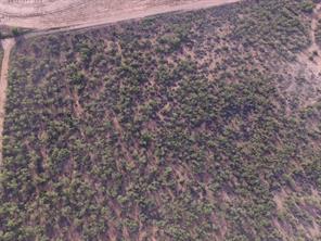 TBD (Lot 5) CR 215 - Photo 13