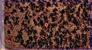 TBD (Lot 5) CR 215 - Photo 2