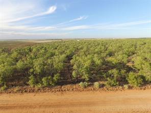 TBD (Lot 8) CR 218 - Photo 4