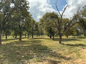 2449 Marvin Drive - Photo 4