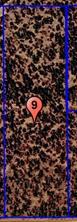 TBD (Lot 9) CR 218 - Photo 2