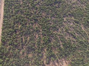 TBD (Lot 9) CR 218 - Photo 4