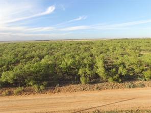 TBD (Lot 9) CR 218 - Photo 5