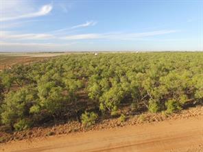 TBD (Lot 9) CR 218 - Photo 6