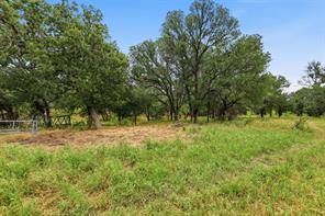 TBD Goshen Road - Photo 4