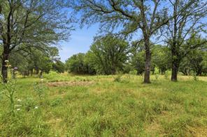 TBD Goshen Road - Photo 5