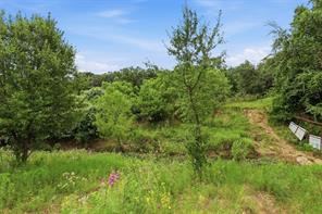 TBD Goshen Road - Photo 6