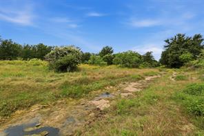 TBD Goshen Road - Photo 8