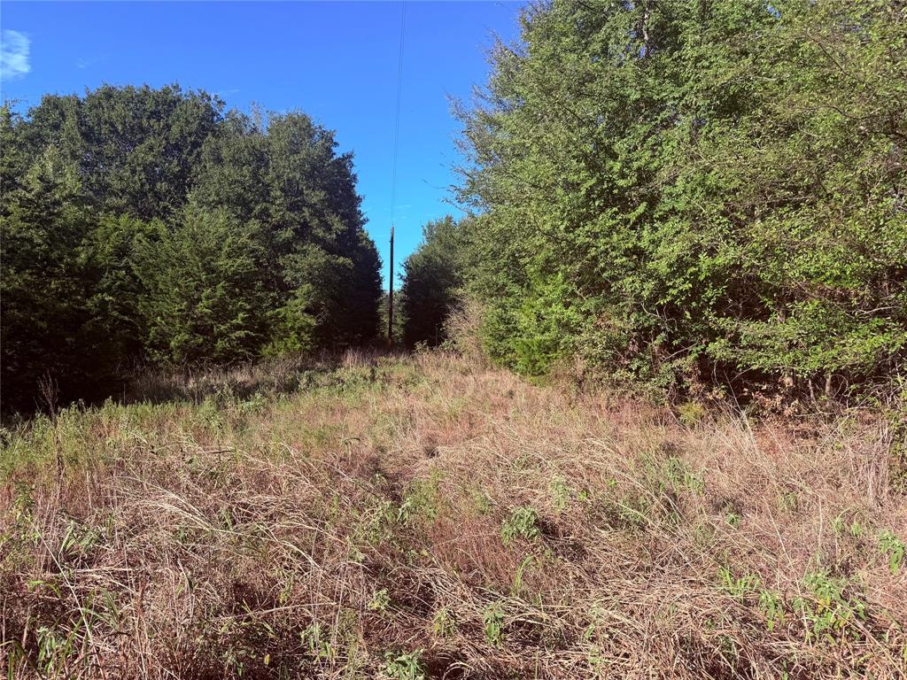 0 FM 2554 - Photo 12