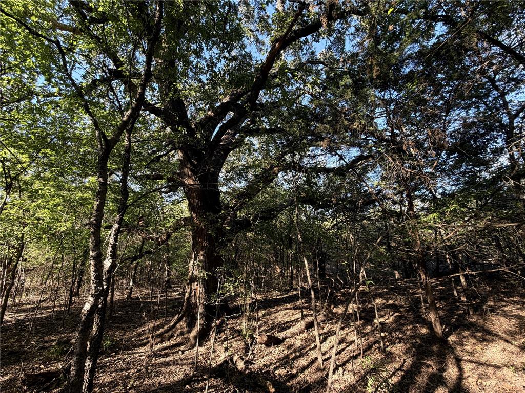 0 FM 2554 - Photo 15