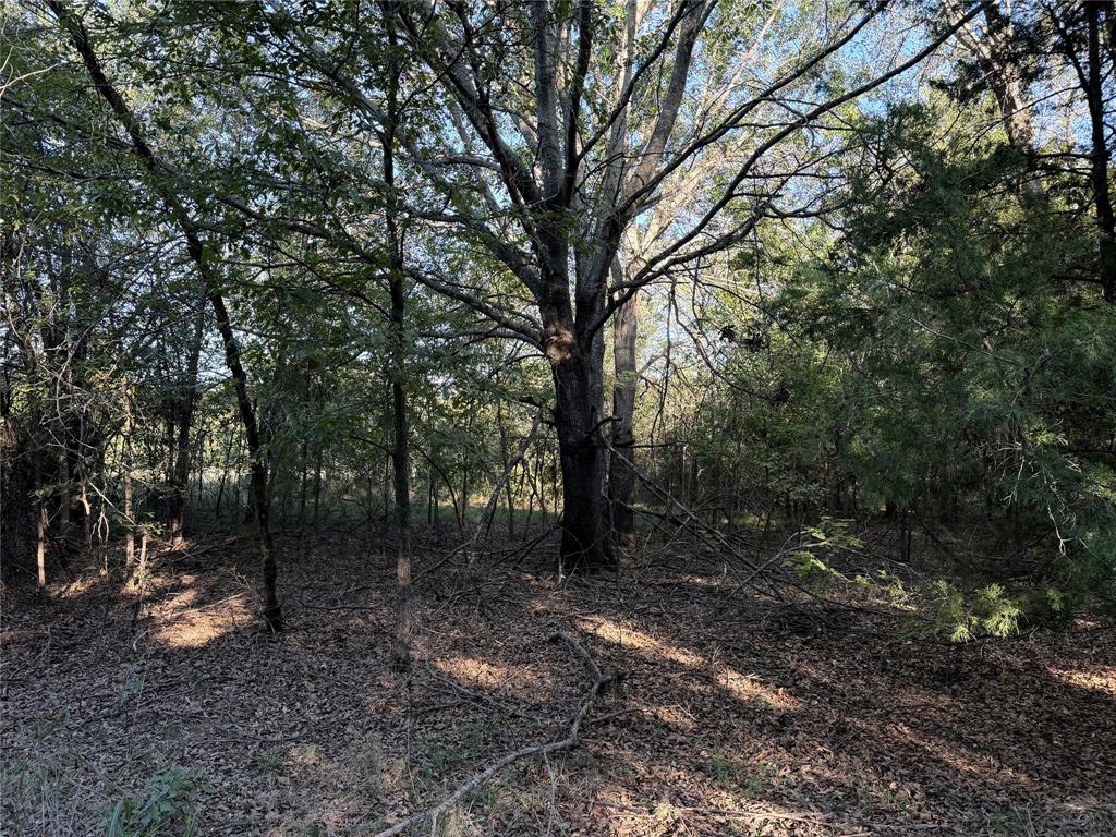 0 FM 2554 - Photo 16