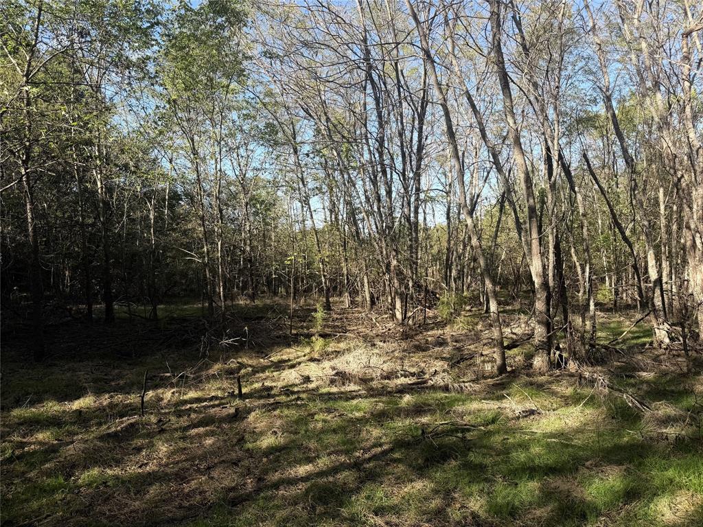 0 FM 2554 - Photo 21