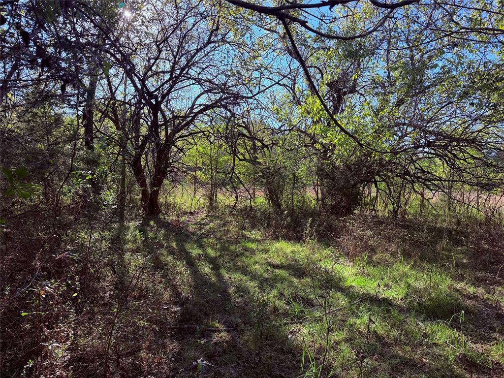 0 FM 2554 - Photo 23