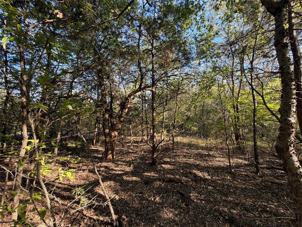 0 FM 2554 - Photo 24