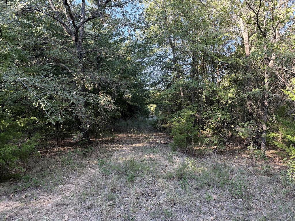 0 FM 2554 - Photo 28