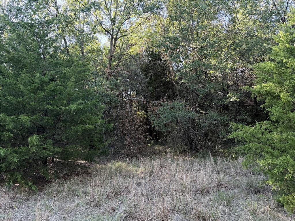 0 FM 2554 - Photo 29