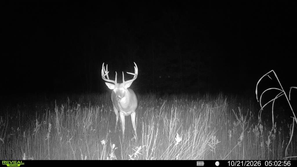 0 FM 2554 - Photo 3