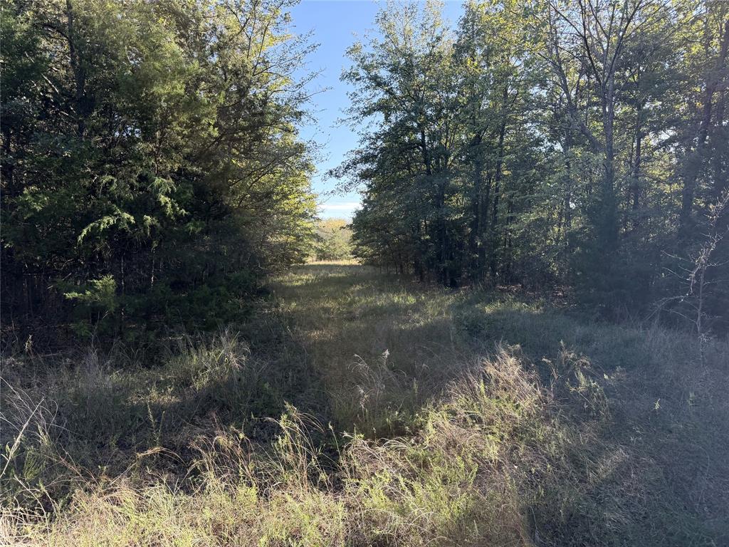 0 FM 2554 - Photo 31