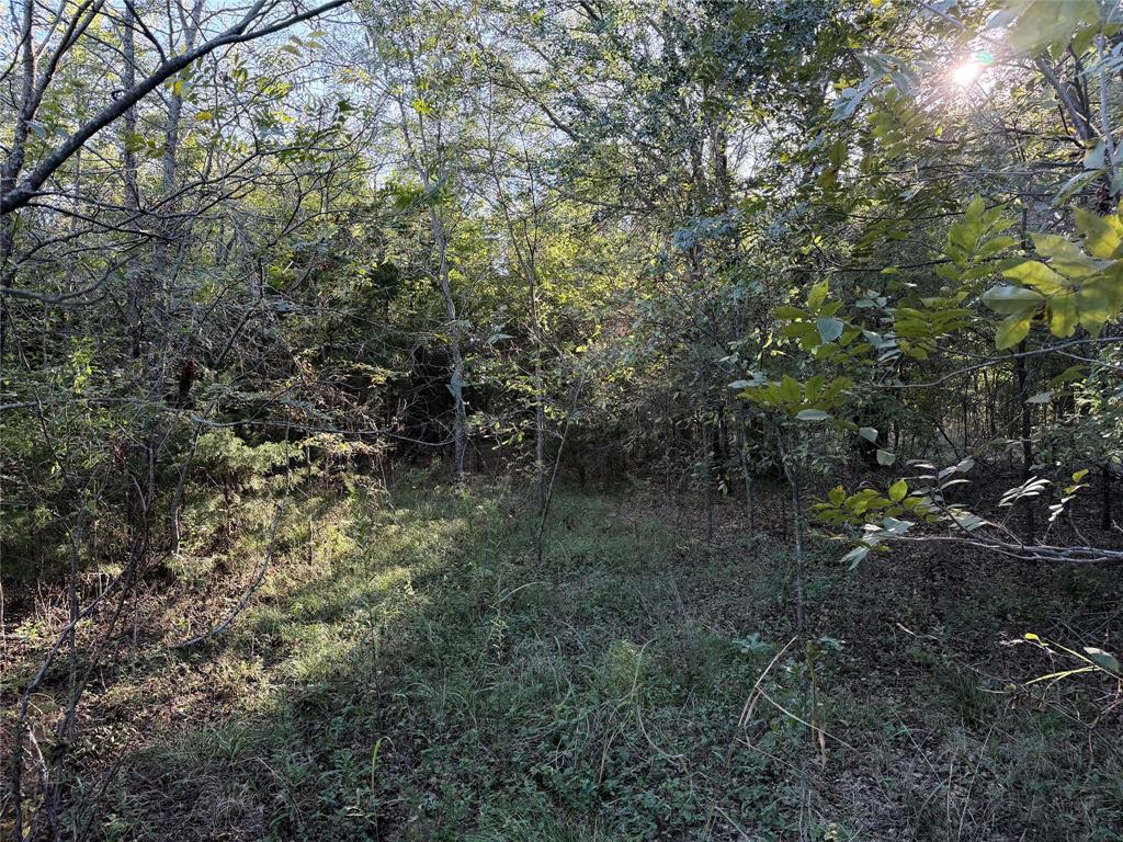 0 FM 2554 - Photo 32
