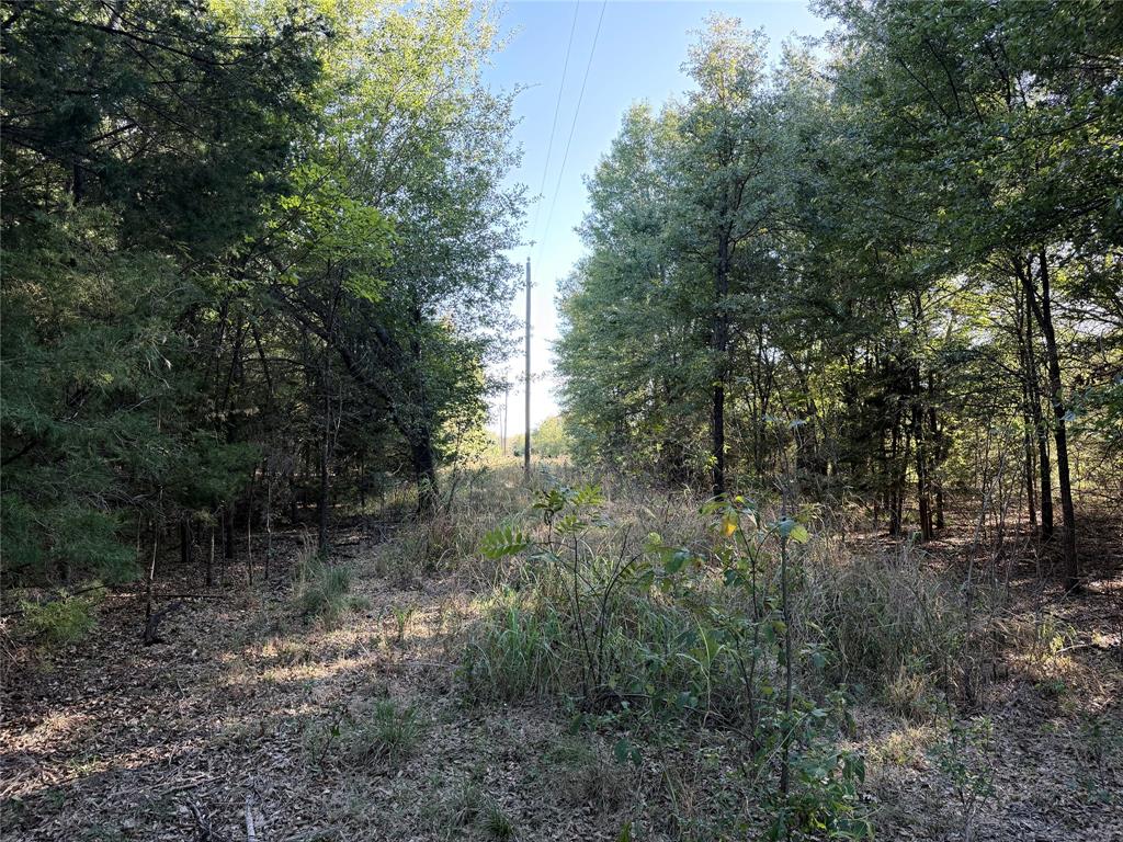0 FM 2554 - Photo 34