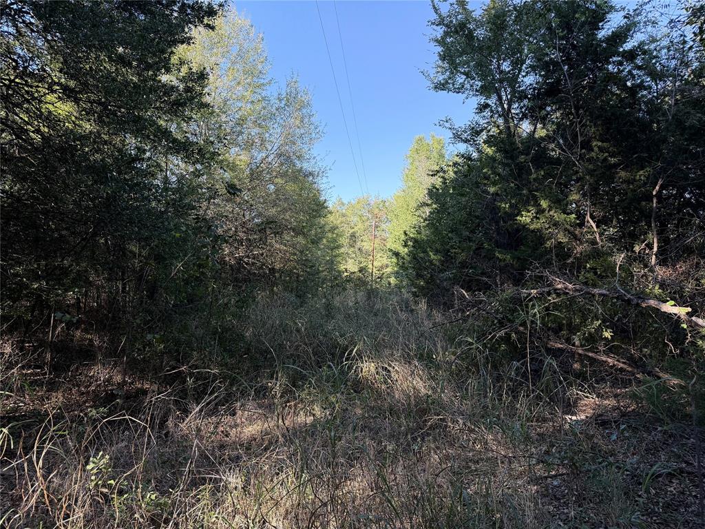 0 FM 2554 - Photo 35