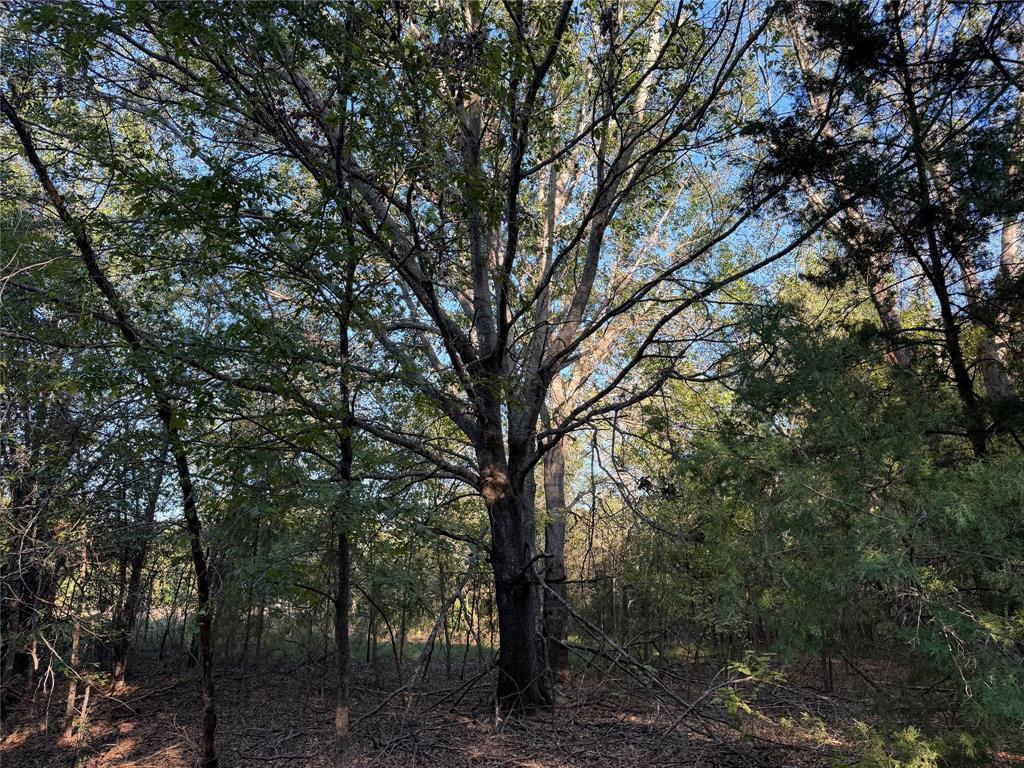 0 FM 2554 - Photo 37